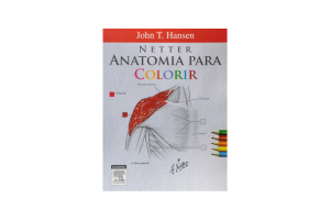 📘 Netter Anatomia Para Colorir: A Ferramenta Visual Definitiva para Estudantes da Saúde