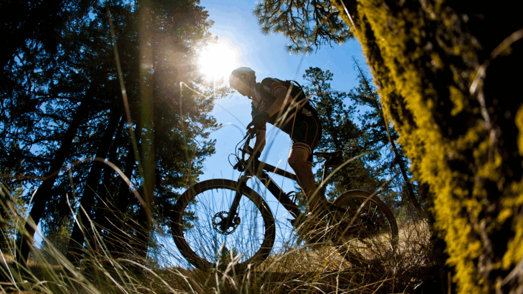 Melhor Bike para trilha e asfalto: as 9 melhores Bikes para trilha e asfalto em 2026