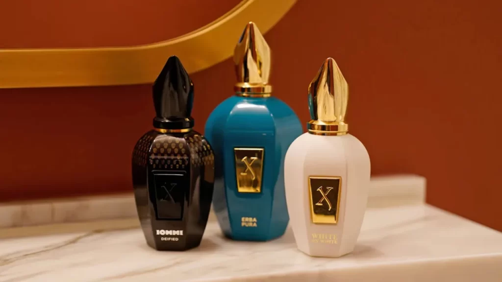 melhores perfumes, perfumes xerjoff, melhores xerjoff, xerjoff perfumes, best xerjoff perfumes, top 16 perfumes xerjoff, pablo perfumes xerjoff, melhores perfumes do mundo, melhores perfumes de nicho, xerjoff perfumesd, melhores perfumes citricos, top xerjoff perfumes, xerjoff perfumes reviews, melhores perfumes masculinos, perfumes masculinos que as mulheres gostam, perfumes frescos, best women's perfumes, best perfumes for women, perfumes for women, melhores, perfumes, xerjoff bestsellers, luis jordao perfumes