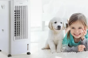 Melhor Climatizador de Ar 2026: Os 4 Melhores Melhores Climatizadores